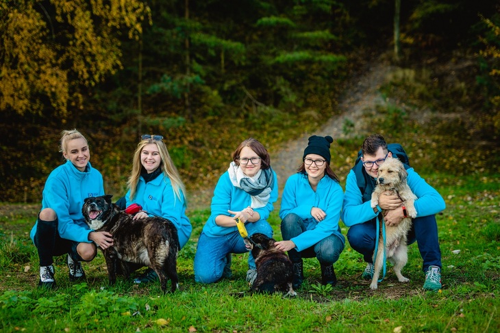 támogatás szolidaritási projektekhez